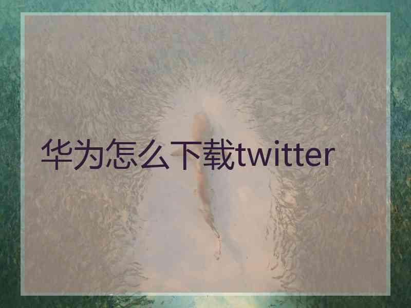 华为怎么下载twitter