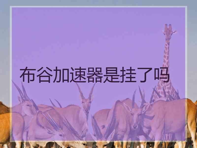 布谷加速器是挂了吗