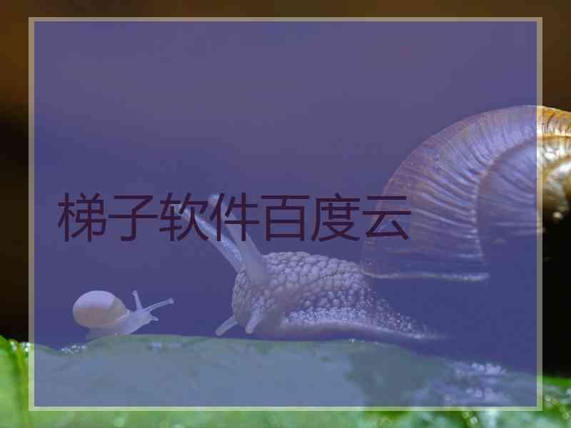 梯子软件百度云