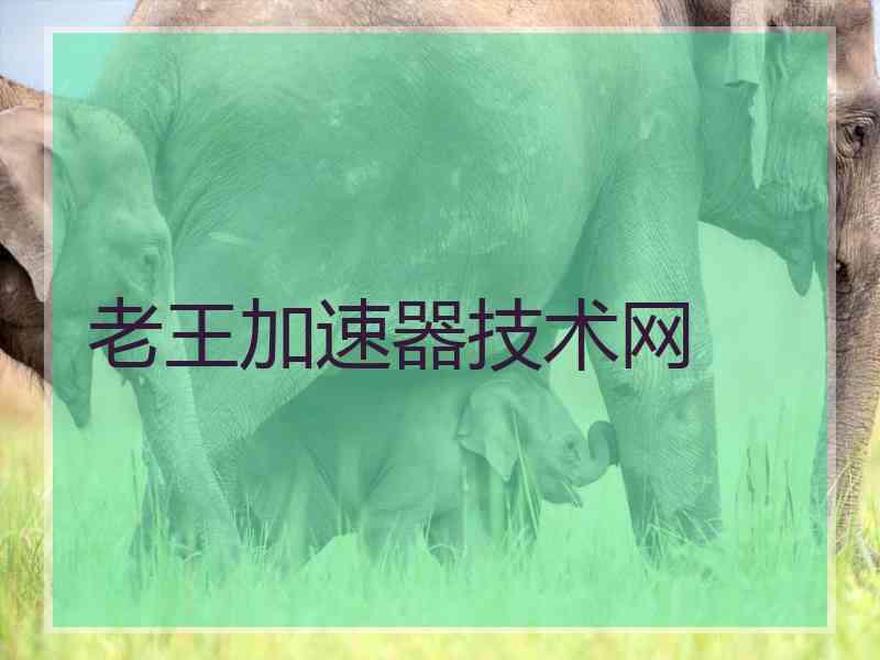 老王加速器技术网