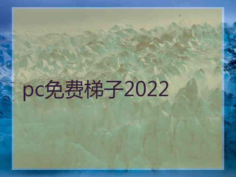 pc免费梯子2022