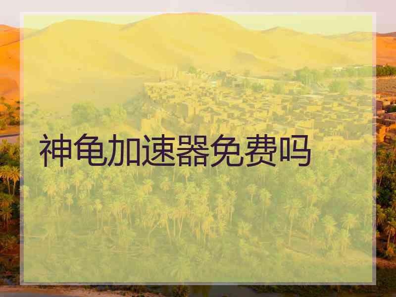 神龟加速器免费吗