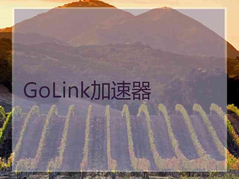 GoLink加速器