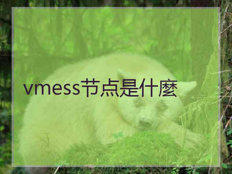 vmess节点是什麼