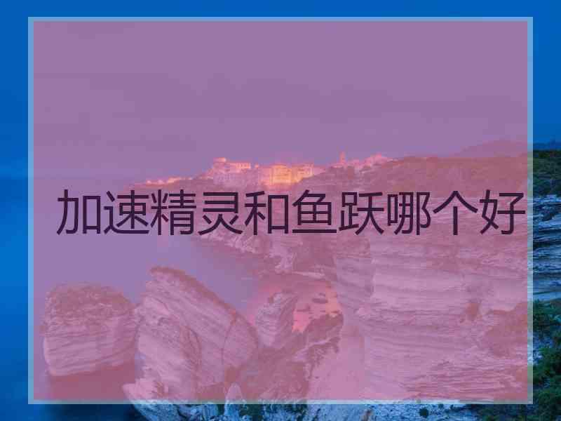 加速精灵和鱼跃哪个好