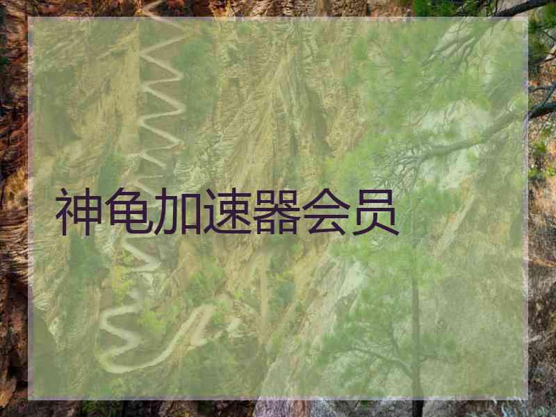 神龟加速器会员