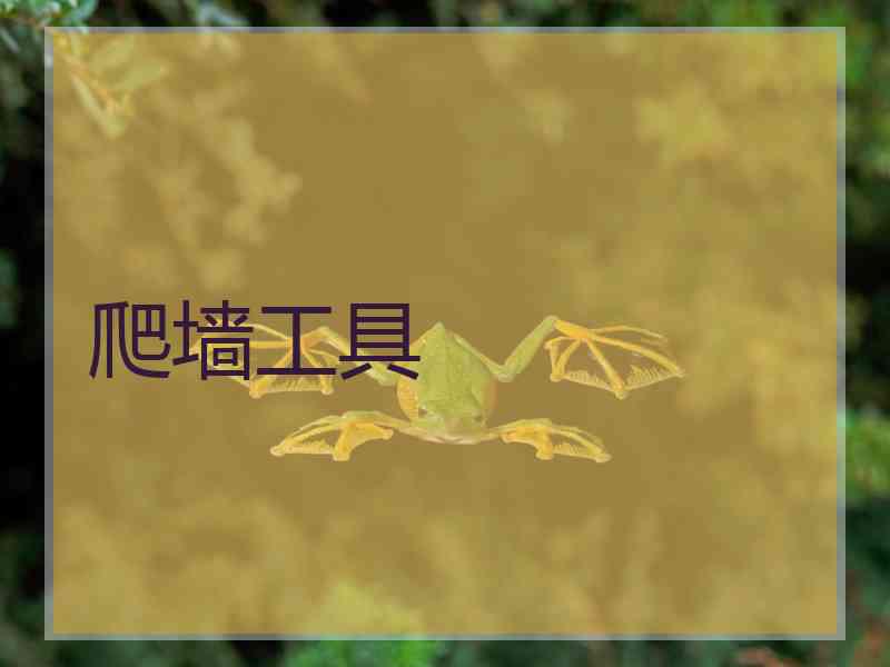 爬墙工具