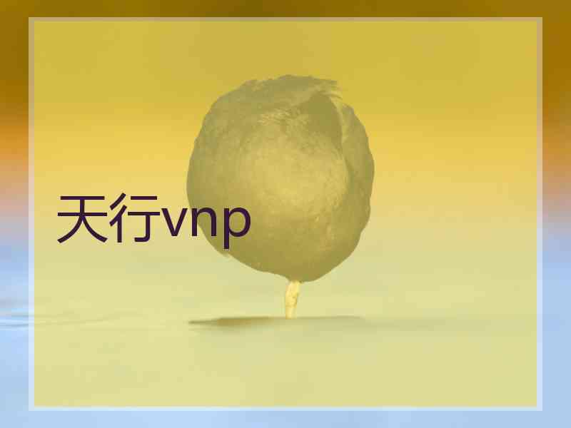 天行vnp
