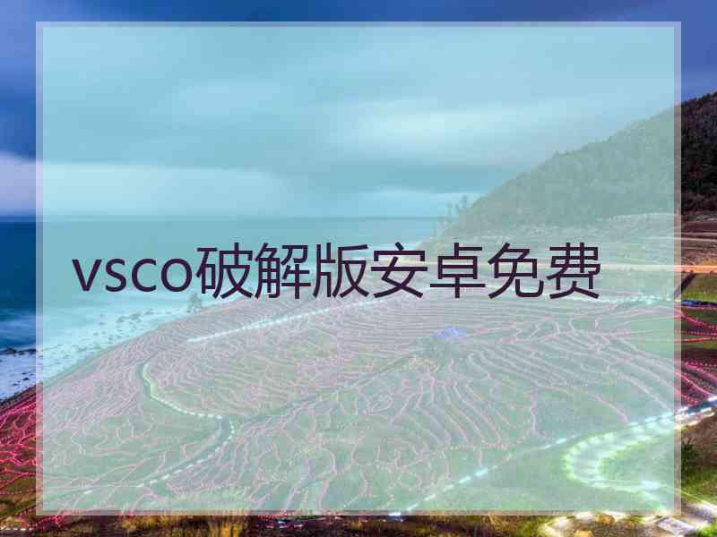 vsco破解版安卓免费