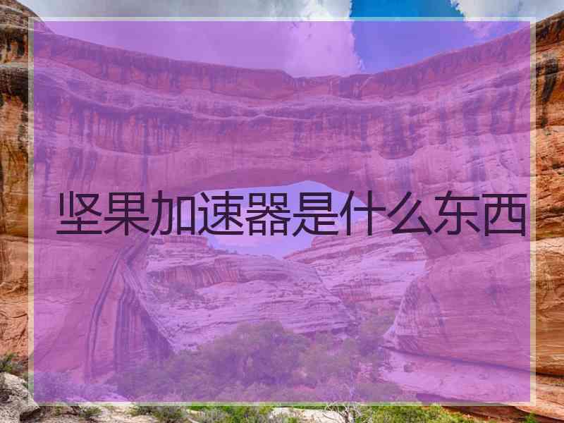 坚果加速器是什么东西