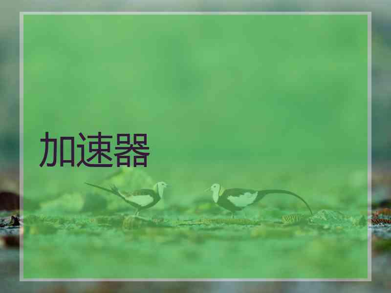 加速器