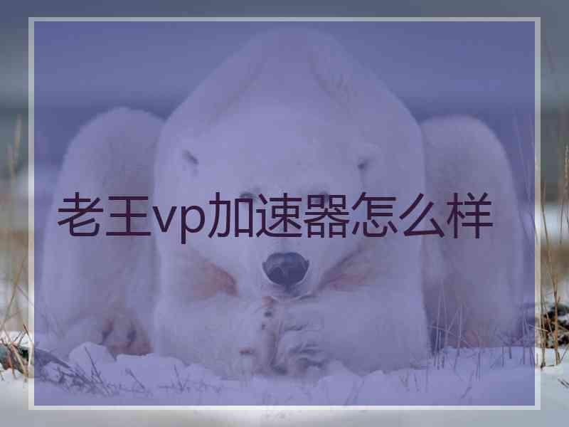 老王vp加速器怎么样