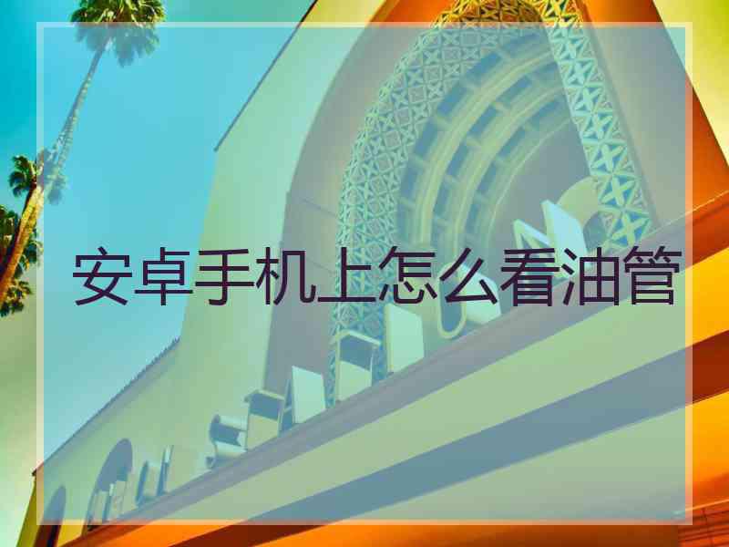 安卓手机上怎么看油管