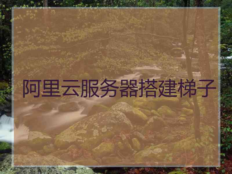 阿里云服务器搭建梯子
