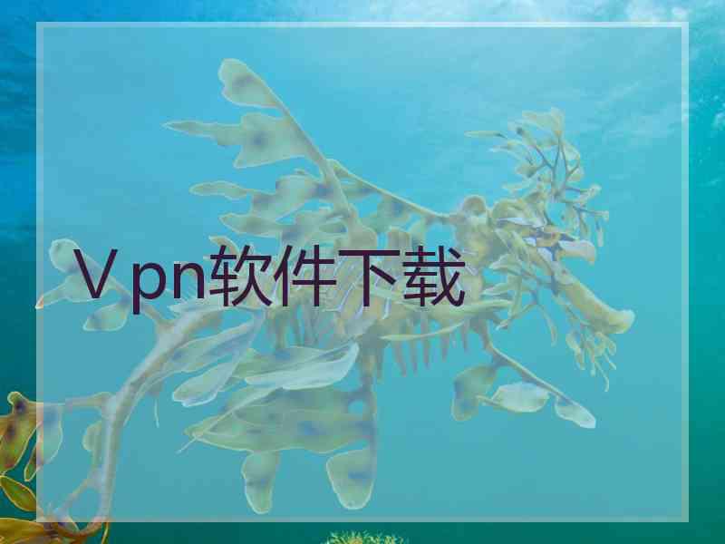 Ⅴpn软件下载