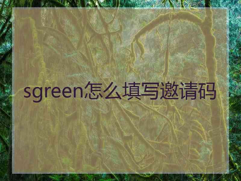 sgreen怎么填写邀请码