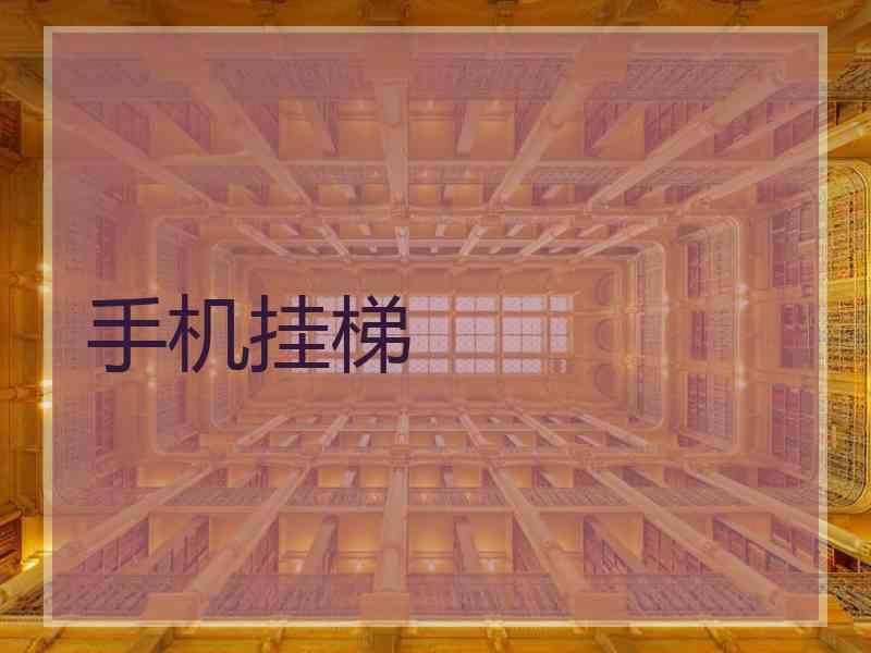 手机挂梯