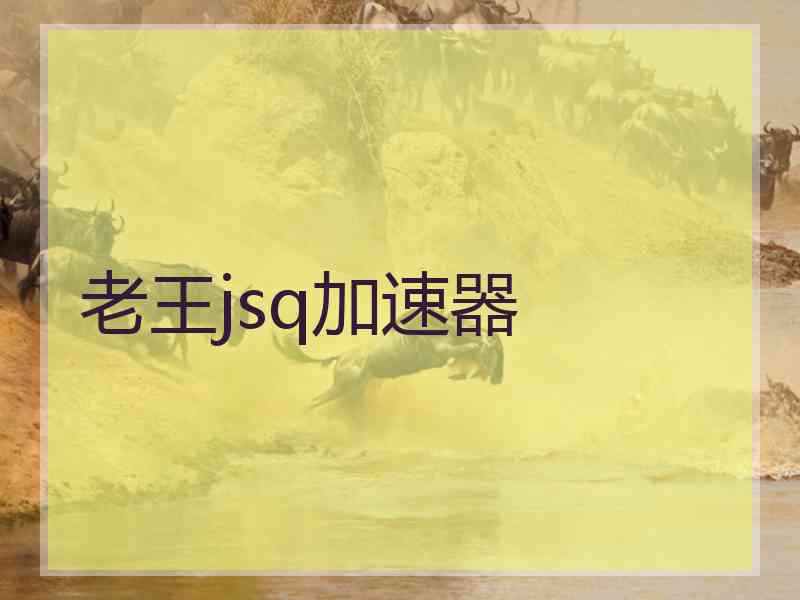老王jsq加速器