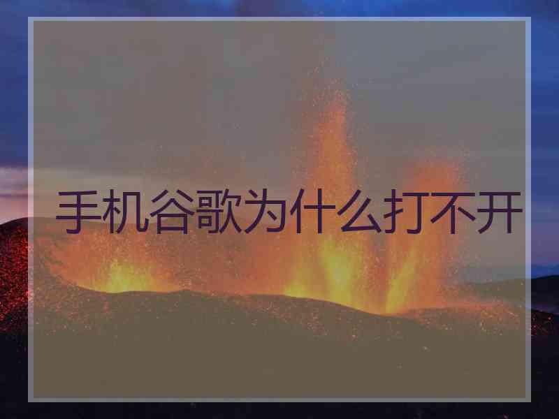 手机谷歌为什么打不开