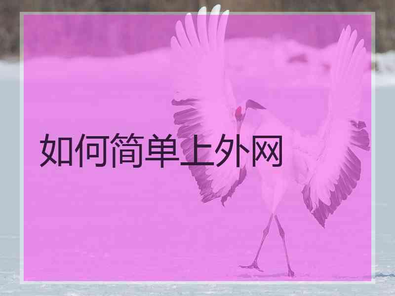 如何简单上外网