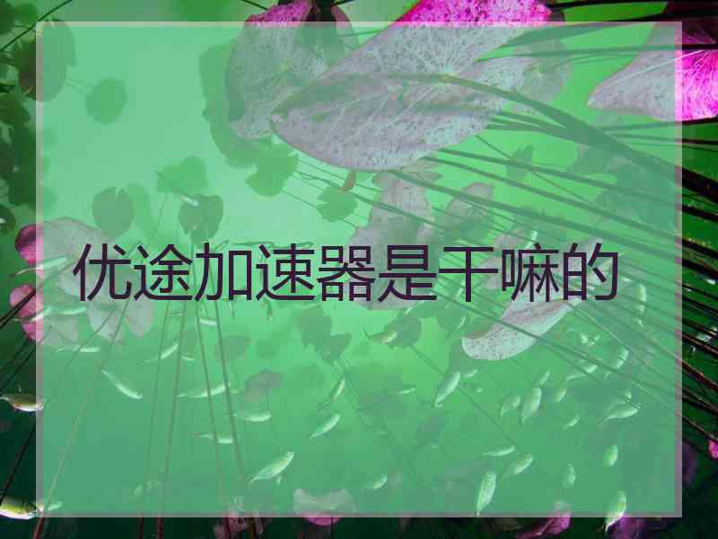 优途加速器是干嘛的