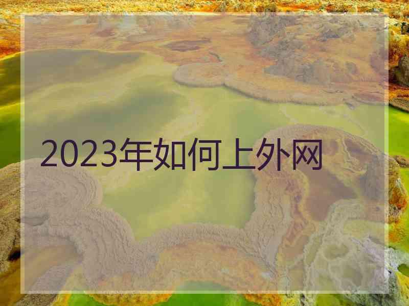 2023年如何上外网
