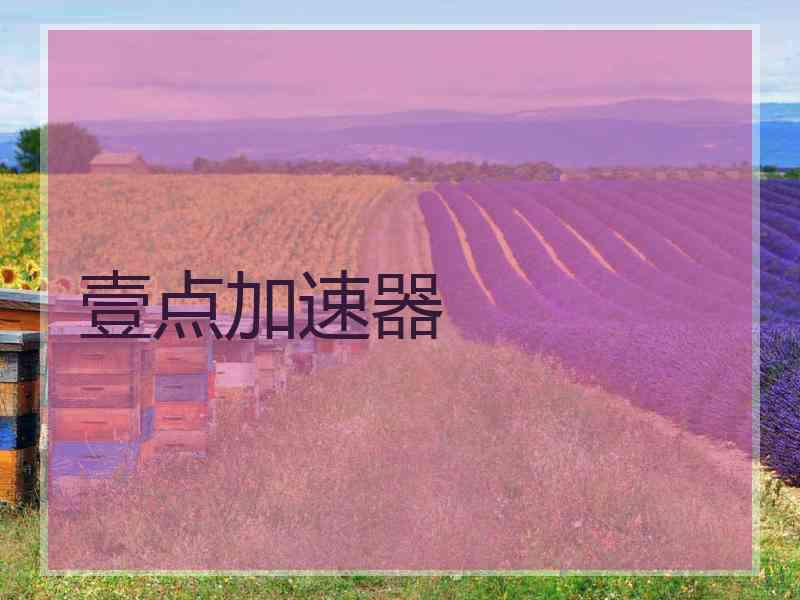 壹点加速器
