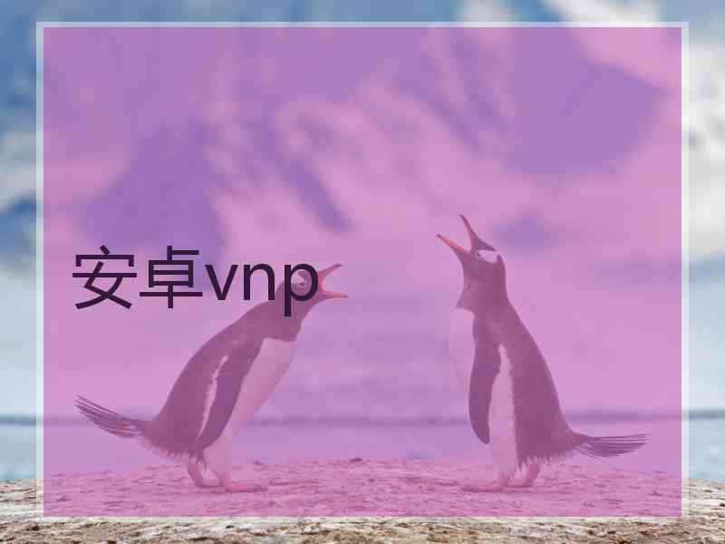 安卓vnp
