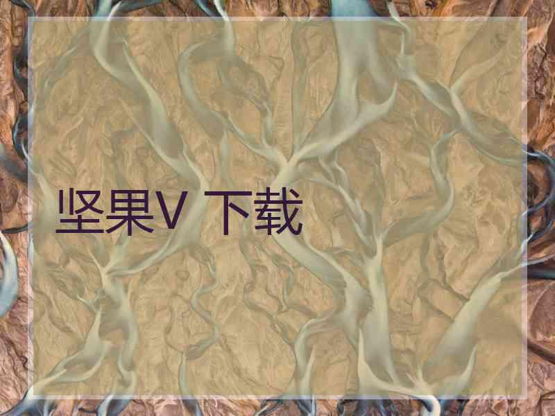 坚果V 下载