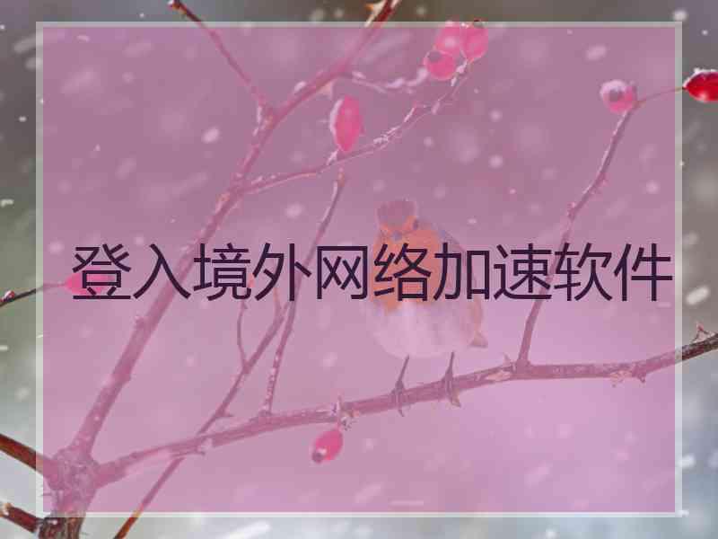 登入境外网络加速软件