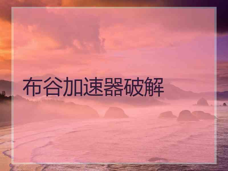 布谷加速器破解
