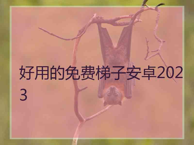 好用的免费梯子安卓2023