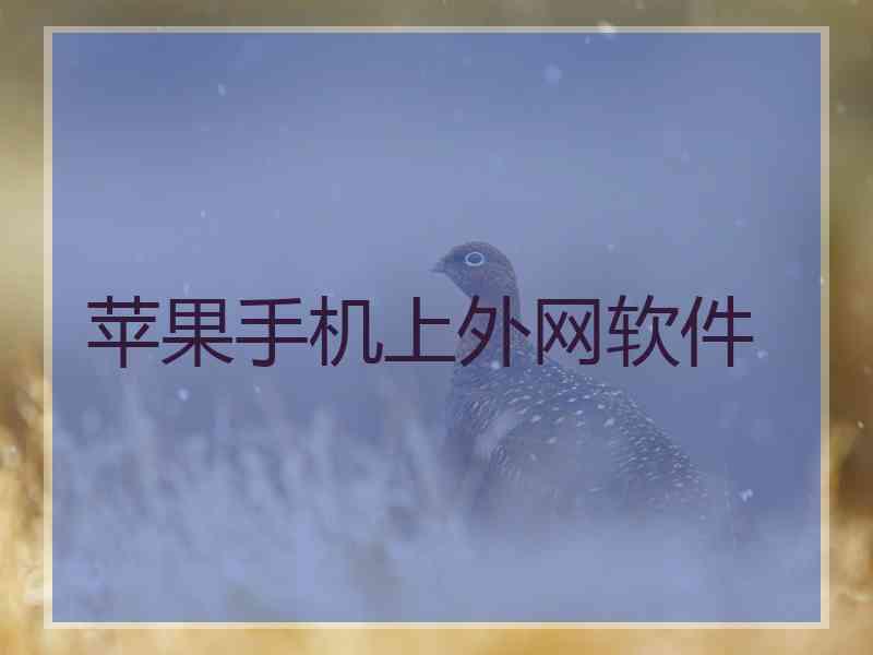 苹果手机上外网软件