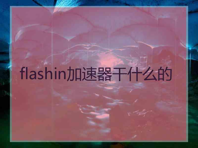 flashin加速器干什么的
