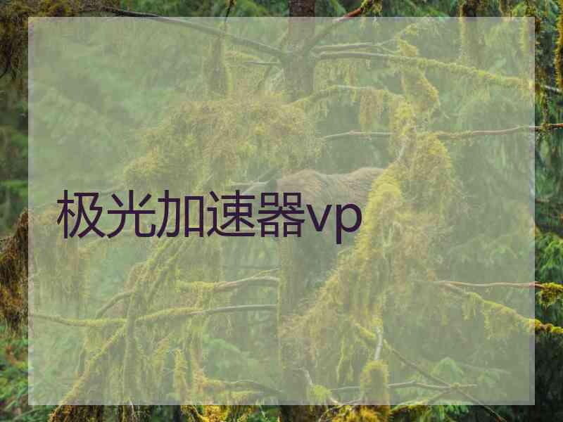 极光加速器vp