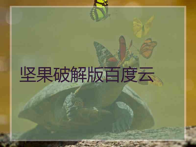坚果破解版百度云