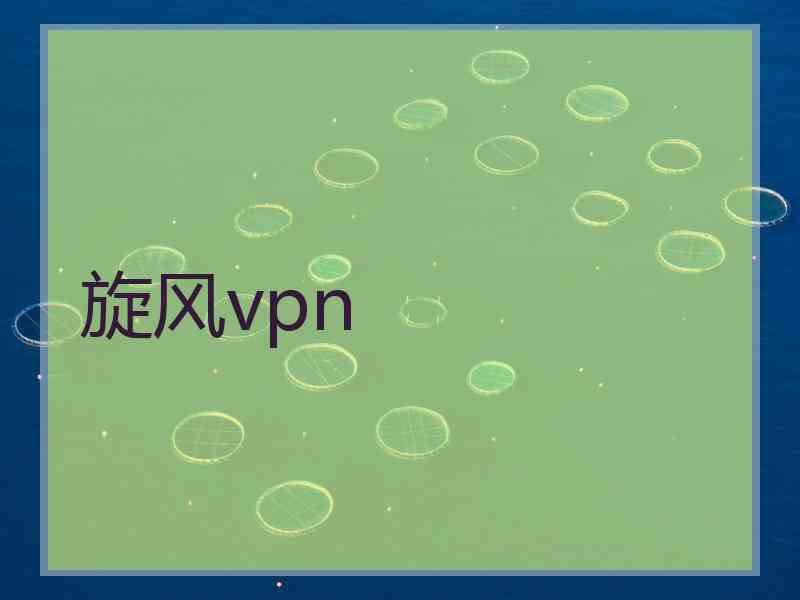 旋风vpn