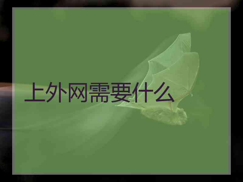上外网需要什么