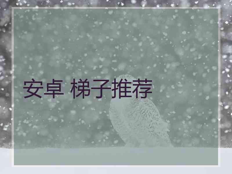 安卓 梯子推荐
