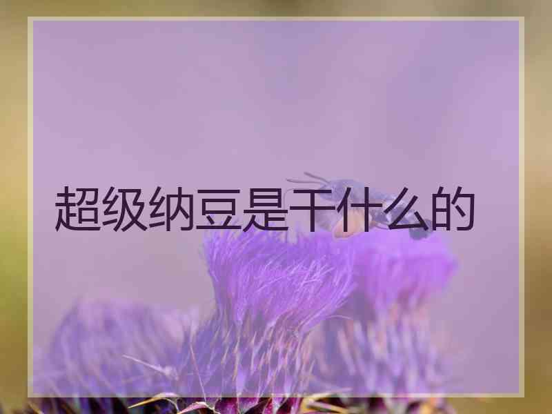 超级纳豆是干什么的