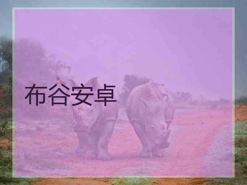 布谷安卓