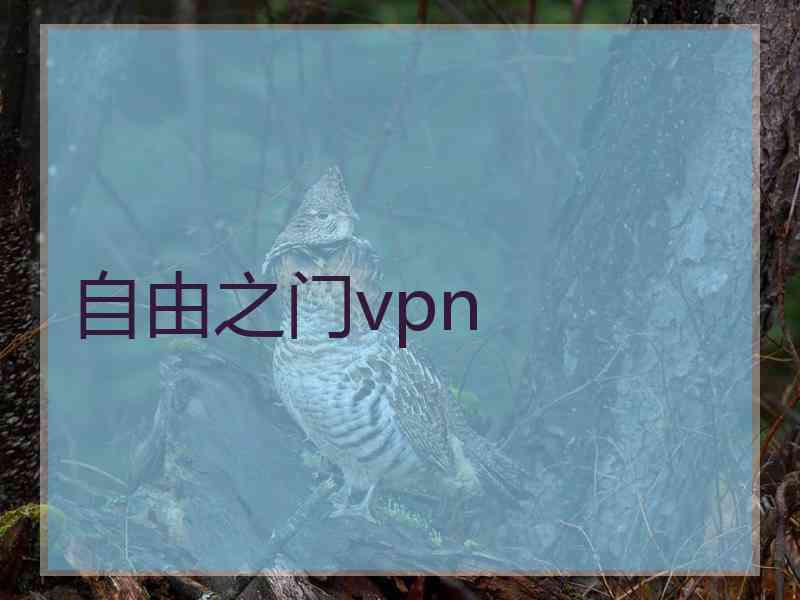 自由之门vpn