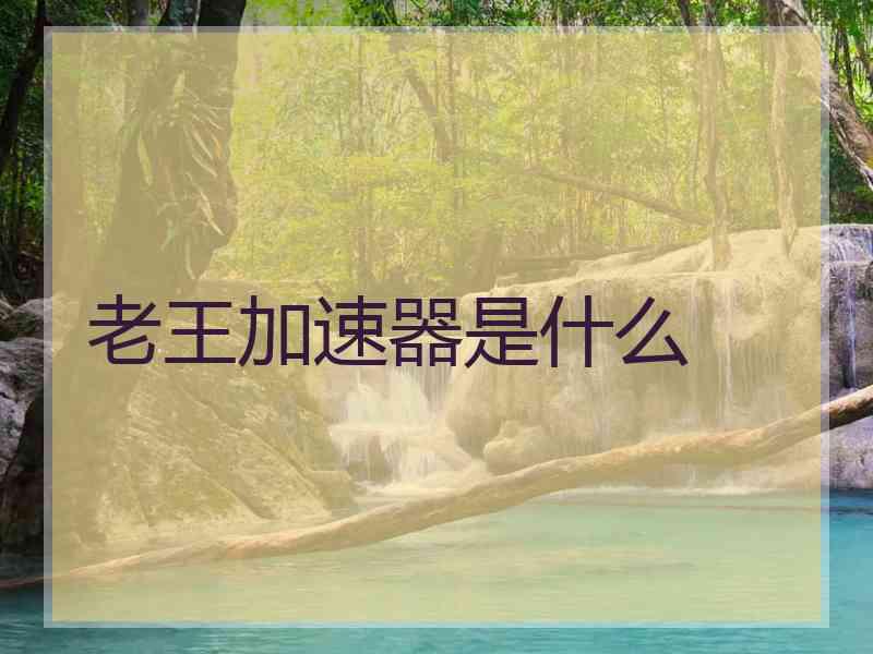 老王加速器是什么