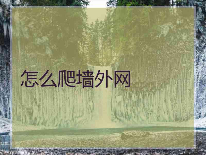 怎么爬墙外网