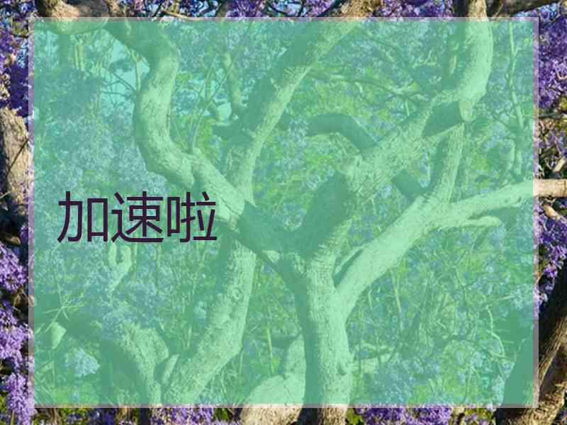 加速啦