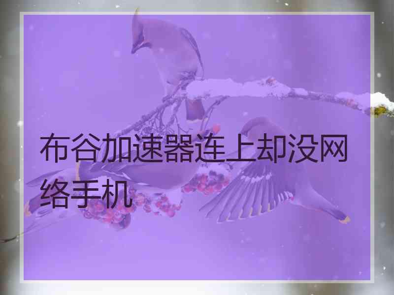 布谷加速器连上却没网络手机