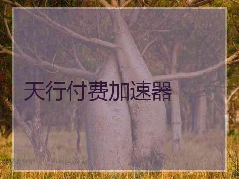 天行付费加速器