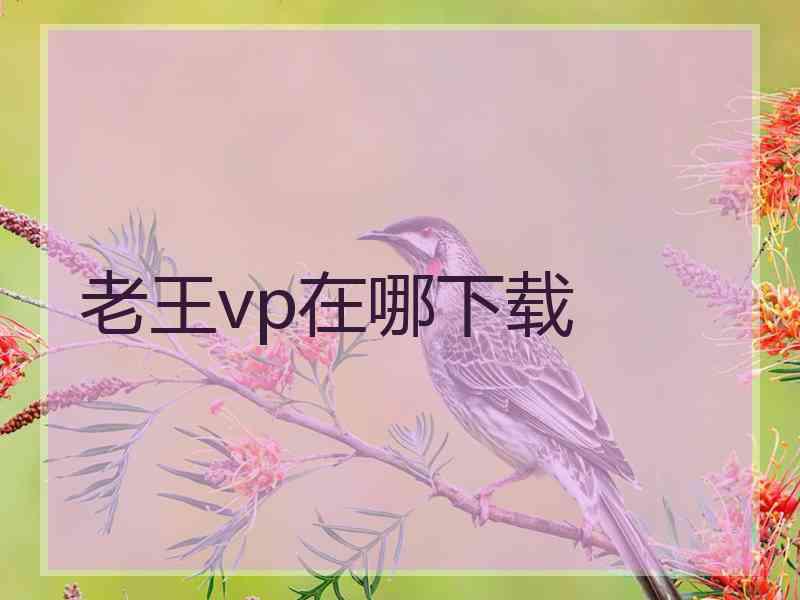 老王vp在哪下载