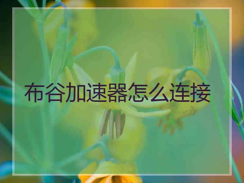 布谷加速器怎么连接