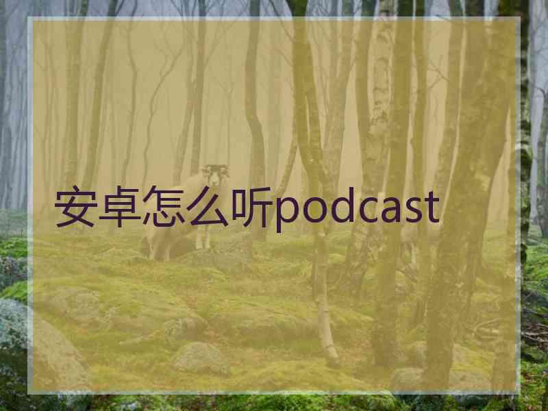 安卓怎么听podcast
